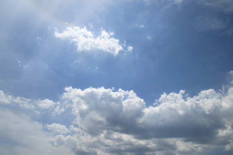 f:id:raruka:20190512143916j:plain:w330:h220 f:id:raruka:20190512143916j:plain:w330:h220