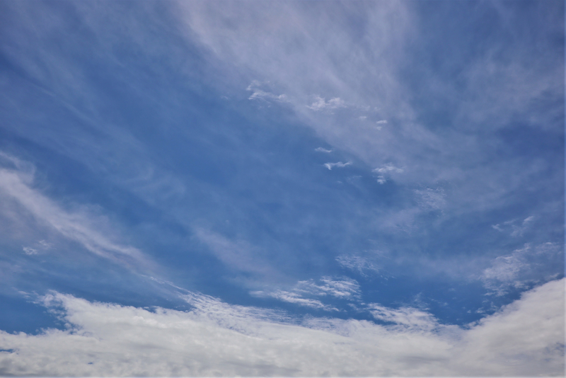 f:id:raruka:20190520142955j:plain:w330:h220 f:id:raruka:20190520142955j:plain:w330:h220