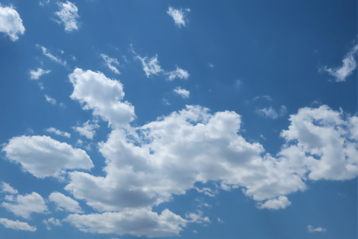 f:id:raruka:20190524142236j:plain:w330:h220 f:id:raruka:20190524142236j:plain:w330:h220