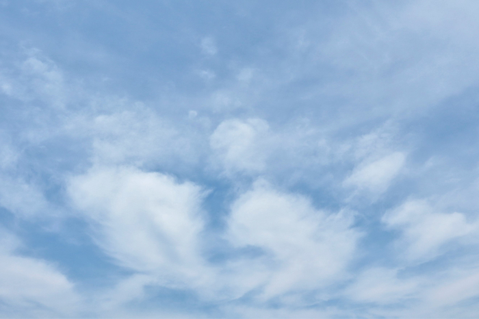 f:id:raruka:20190601144919j:plain:w330:h220 f:id:raruka:20190601144919j:plain:w330:h220
