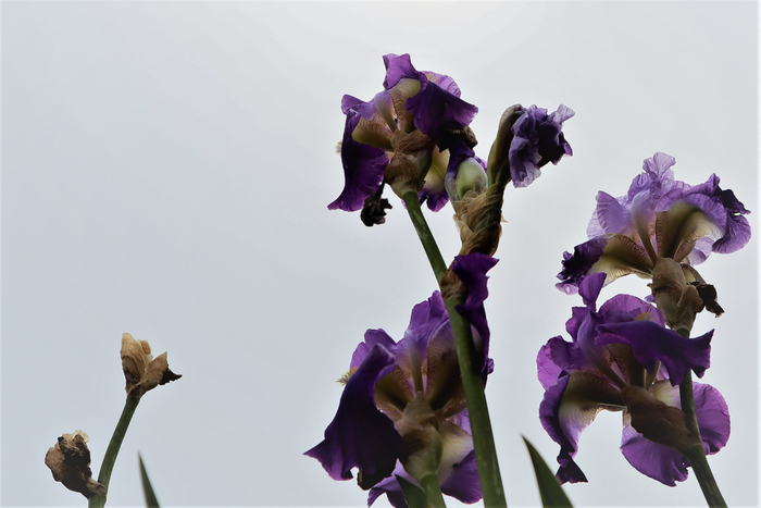 f:id:raruka:20190602133517j:plain:w330:h220 f:id:raruka:20190602133517j:plain:w330:h220
