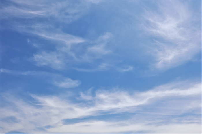 f:id:raruka:20190603144704j:plain:w330:h220 f:id:raruka:20190603144704j:plain:w330:h220