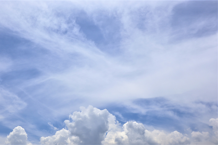 f:id:raruka:20190604143016j:plain:w330:h220 f:id:raruka:20190604143016j:plain:w330:h220