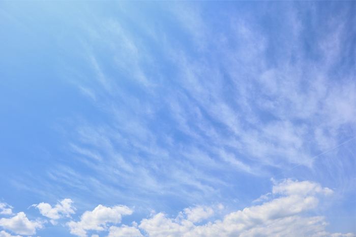 f:id:raruka:20190606141450j:plain:w330:h220 f:id:raruka:20190606141450j:plain:w330:h220