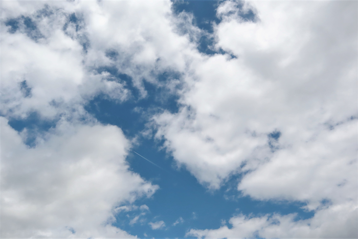 f:id:raruka:20190608132247j:plain:w330:h220 f:id:raruka:20190608132247j:plain:w330:h220