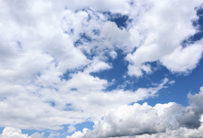 f:id:raruka:20190612140053j:plain:w330:h220 f:id:raruka:20190612140053j:plain:w330:h220