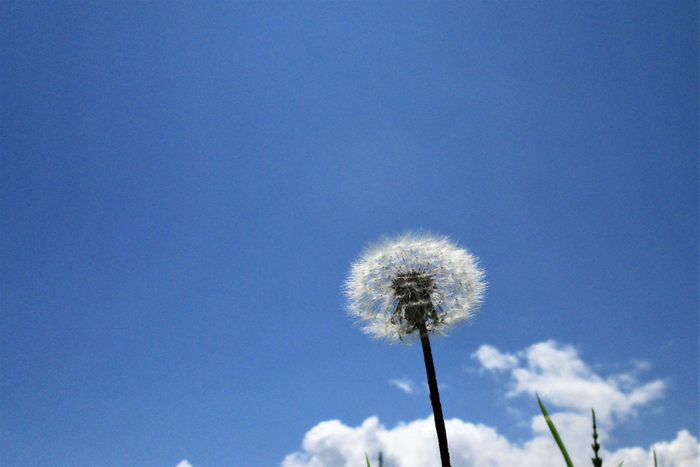 f:id:raruka:20190613141241j:plain:w330:h220 f:id:raruka:20190613141241j:plain:w330:h220