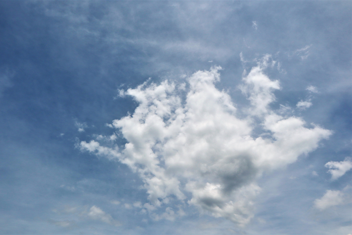 f:id:raruka:20190618141454j:plain:w330:h220 f:id:raruka:20190618141454j:plain:w330:h220
