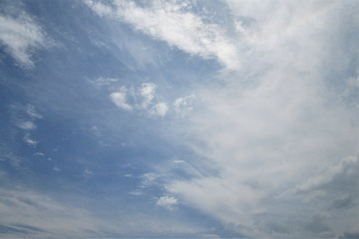 f:id:raruka:20190621143248j:plain:w330:h220 f:id:raruka:20190621143248j:plain:w330:h220