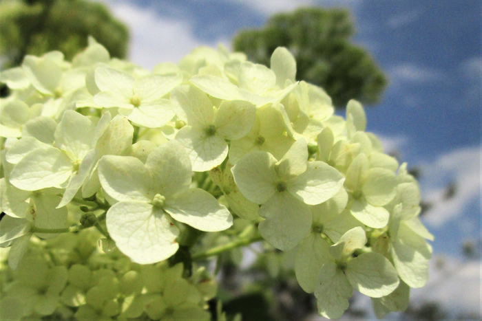 f:id:raruka:20190622135934j:plain:w330:h220 f:id:raruka:20190622135934j:plain:w330:h220