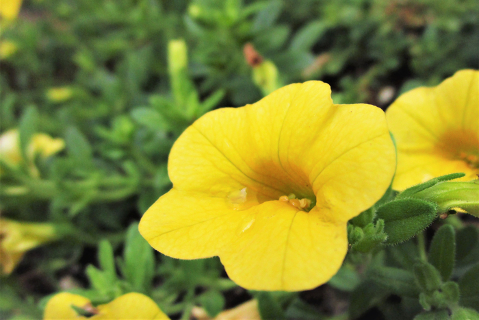 f:id:raruka:20190624134409j:plain:w330:h220 f:id:raruka:20190624134409j:plain:w330:h220