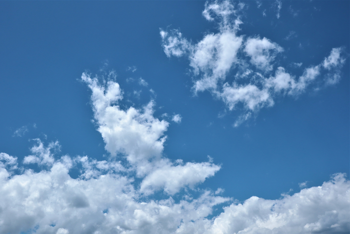 f:id:raruka:20190625143237j:plain:w330:h220 f:id:raruka:20190625143237j:plain:w330:h220