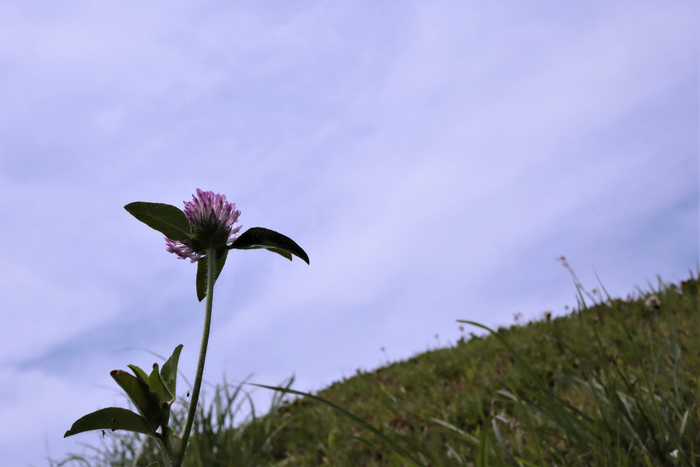 f:id:raruka:20190626135829j:plain:w330:h220 f:id:raruka:20190626135829j:plain:w330:h220