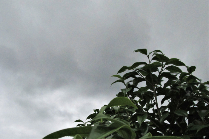 f:id:raruka:20190627131630j:plain:w330:h220 f:id:raruka:20190627131630j:plain:w330:h220
