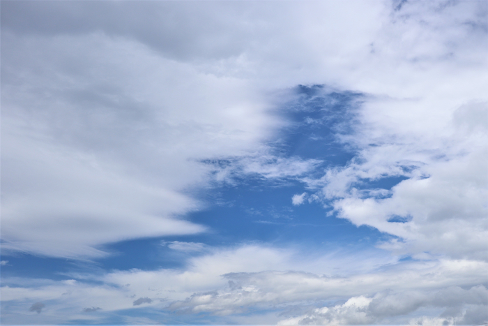 f:id:raruka:20190701140746j:plain:w330:h220 f:id:raruka:20190701140746j:plain:w330:h220
