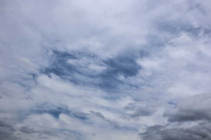 f:id:raruka:20190702141336j:plain:w330:h220 f:id:raruka:20190702141336j:plain:w330:h220