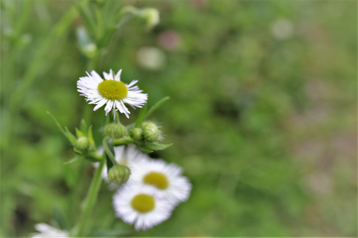 f:id:raruka:20190702141847j:plain:w330:h220 f:id:raruka:20190702141847j:plain:w330:h220