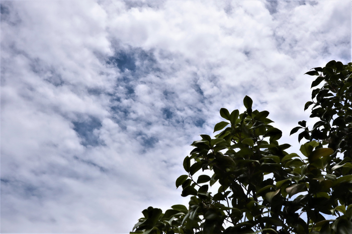f:id:raruka:20190706132725j:plain:w330:h220 f:id:raruka:20190706132725j:plain:w330:h220