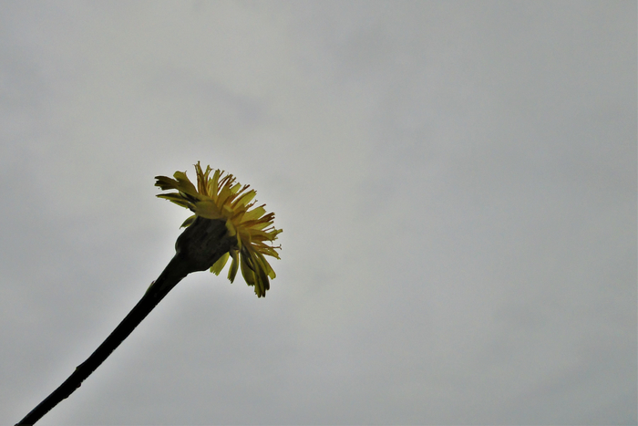 f:id:raruka:20190711140053j:plain:w330:h220 f:id:raruka:20190711140053j:plain:w330:h220