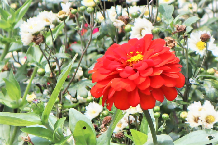 f:id:raruka:20190724143828j:plain:w330:h220 f:id:raruka:20190724143828j:plain:w330:h220