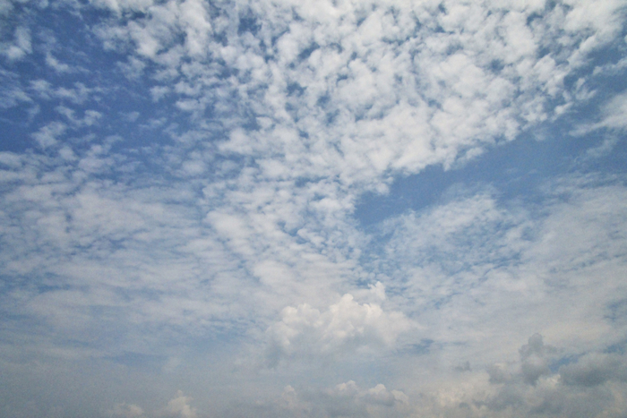 f:id:raruka:20190729144316j:plain:w330:h220 f:id:raruka:20190729144316j:plain:w330:h220