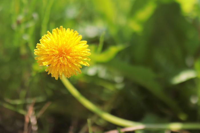 f:id:raruka:20190804132957j:plain f:id:raruka:20190804132957j:plain