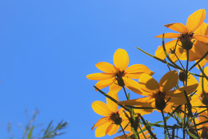 f:id:raruka:20190809143544j:plain:w330:h220 f:id:raruka:20190809143544j:plain:w330:h220