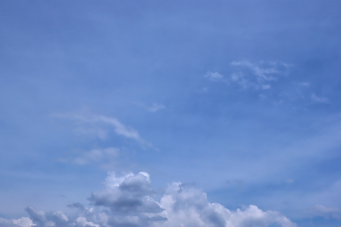 f:id:raruka:20190812142621j:plain:w330:h220 f:id:raruka:20190812142621j:plain:w330:h220