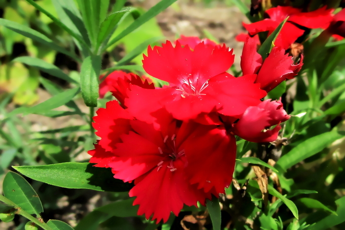 f:id:raruka:20190812142718j:plain:w330:h220 f:id:raruka:20190812142718j:plain:w330:h220