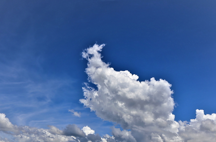 f:id:raruka:20190813144007j:plain:w330:h220 f:id:raruka:20190813144007j:plain:w330:h220