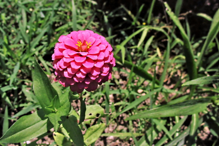 f:id:raruka:20190813150037j:plain:w330:h220 f:id:raruka:20190813150037j:plain:w330:h220