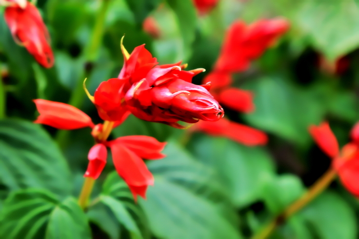 f:id:raruka:20190814145751j:plain:w330:h220 f:id:raruka:20190814145751j:plain:w330:h220