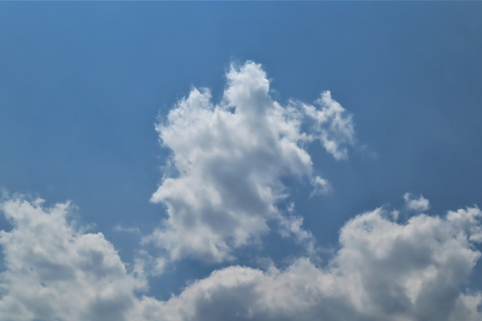 f:id:raruka:20190817151706j:plain:w330:h220 f:id:raruka:20190817151706j:plain:w330:h220