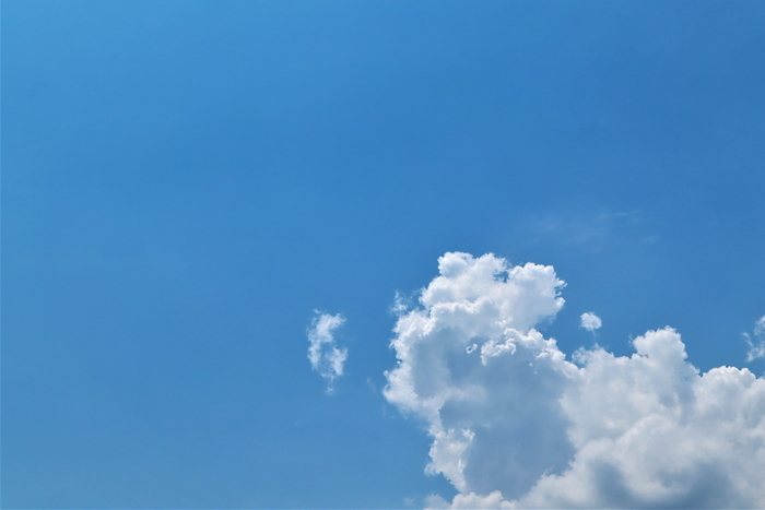f:id:raruka:20190818134848j:plain:w330:h220 f:id:raruka:20190818134848j:plain:w330:h220