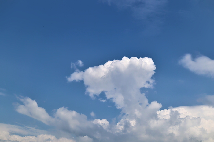 f:id:raruka:20190819152645j:plain:w330:h220 f:id:raruka:20190819152645j:plain:w330:h220