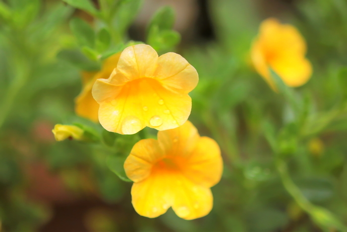 f:id:raruka:20190820141803j:plain f:id:raruka:20190820141803j:plain