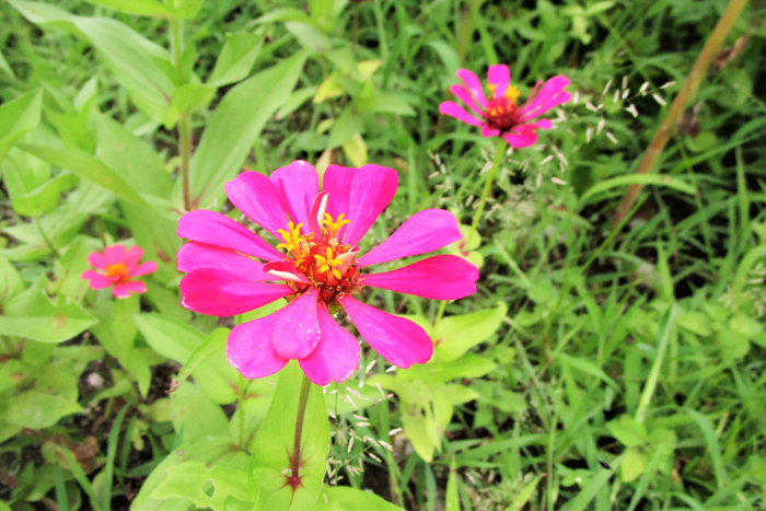f:id:raruka:20190821151603j:plain:w330:h220 f:id:raruka:20190821151603j:plain:w330:h220