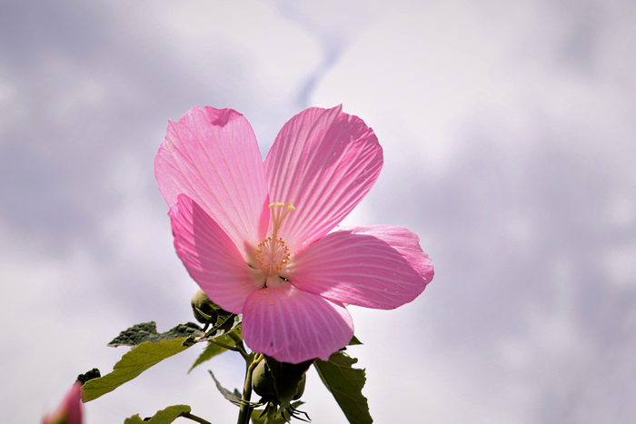 f:id:raruka:20190822151018j:plain:w330:h220 f:id:raruka:20190822151018j:plain:w330:h220