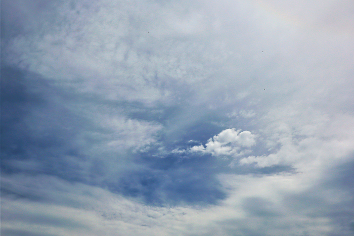 f:id:raruka:20190827150803j:plain:w330:h220 f:id:raruka:20190827150803j:plain:w330:h220