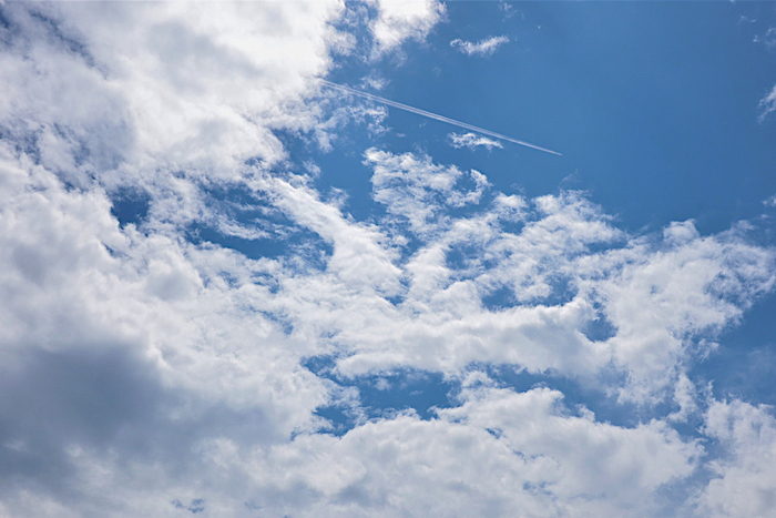 f:id:raruka:20190831150210j:plain:w330:h220 f:id:raruka:20190831150210j:plain:w330:h220