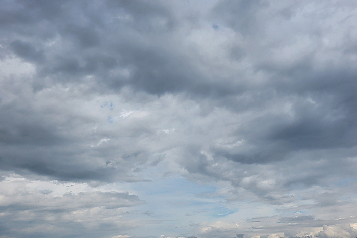 f:id:raruka:20190904151152j:plain:w330:h220 f:id:raruka:20190904151152j:plain:w330:h220