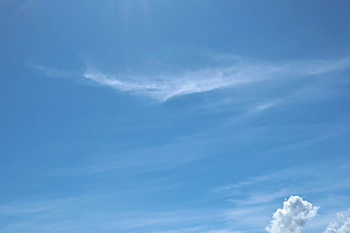 f:id:raruka:20190906144558j:plain:w330:h220 f:id:raruka:20190906144558j:plain:w330:h220