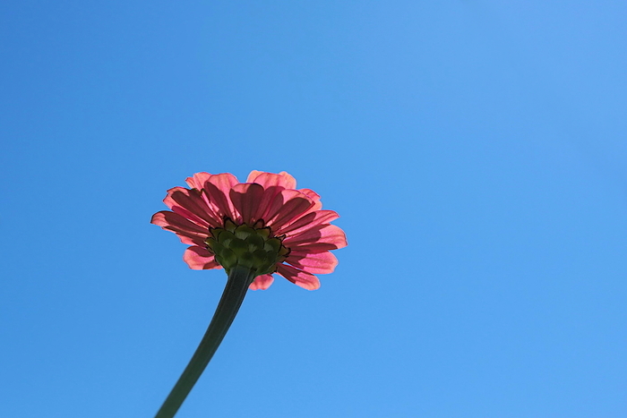 f:id:raruka:20190907140729j:plain:w330:h220 f:id:raruka:20190907140729j:plain:w330:h220