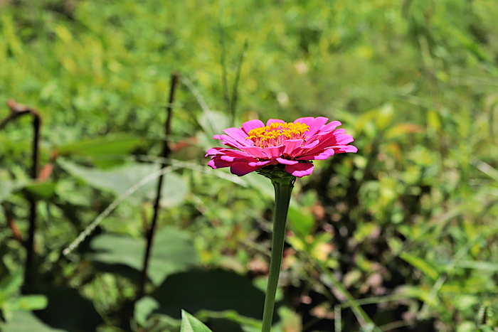 f:id:raruka:20190907140756j:plain:w330:h220 f:id:raruka:20190907140756j:plain:w330:h220