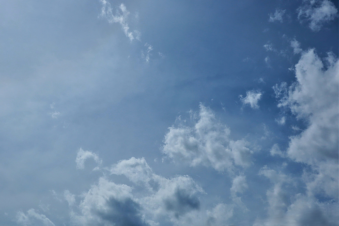 f:id:raruka:20190909153117j:plain:w330:h220 f:id:raruka:20190909153117j:plain:w330:h220