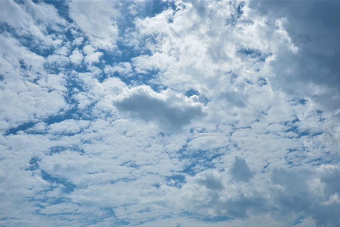 f:id:raruka:20190910145054j:plain:w330:h220 f:id:raruka:20190910145054j:plain:w330:h220