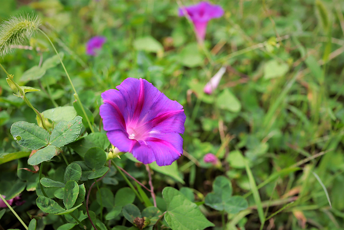 f:id:raruka:20190913140452j:plain f:id:raruka:20190913140452j:plain