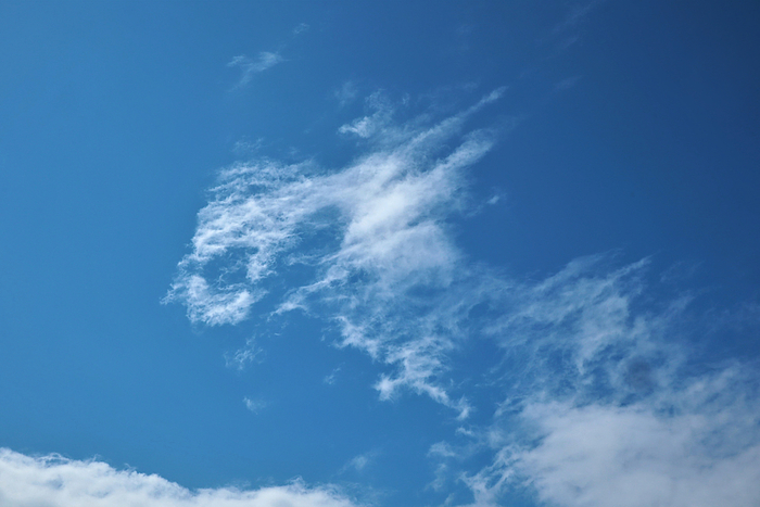 f:id:raruka:20190915145055j:plain:w330:h220 f:id:raruka:20190915145055j:plain:w330:h220
