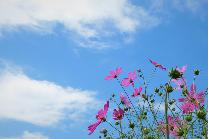 f:id:raruka:20190916150820j:plain f:id:raruka:20190916150820j:plain