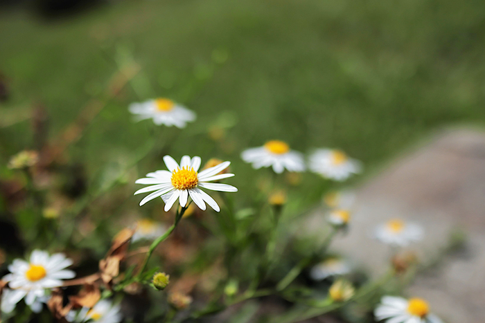 f:id:raruka:20190920152906j:plain f:id:raruka:20190920152906j:plain